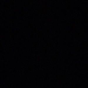 Meet your Posher, Evelyn